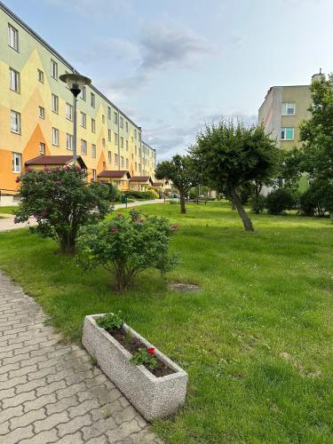 Κήπος έξω από το Boho Przystań Mikołajki - Idealny dla Ciebie