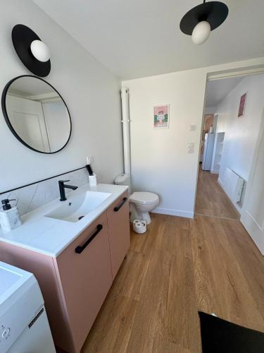 une salle de bain avec un lavabo, des toilettes et un miroir dans l'établissement Les Chouettes, au Mans