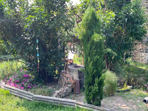 Taman di luar Le Patio