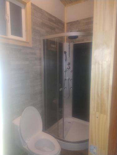 a bathroom with a toilet and a shower with a shower at Cabañas Palafito Hornopiren in Hornopiren