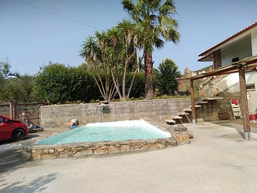 a swimming pool in a yard with a palm tree at Casa vacanze, Luciano 