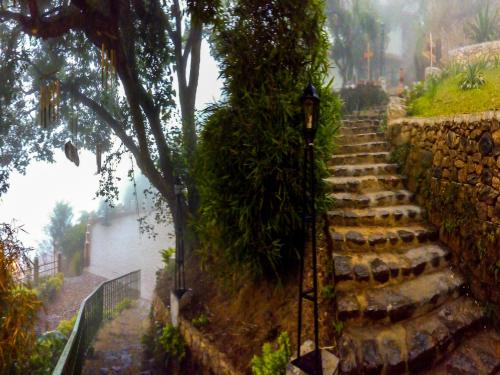 a set of stone steps next to a stone wall at Blackberry Hills Munnar Nature Resort & Spa in Munnar