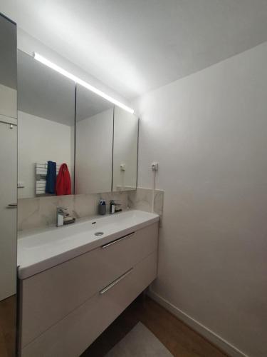une salle de bain avec un lavabo et un grand miroir dans l'établissement Anglet T3 ideal vacances, à Anglet