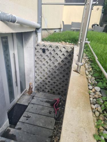 Imagen de la galería de Schöne Wohnung mit Garten nahe schweizer Grenze, en Küssaberg