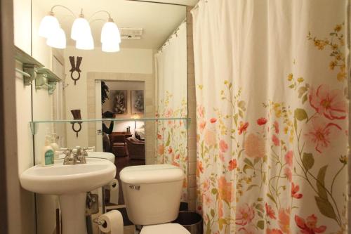 a bathroom with a toilet and a sink at Main Street Glorious Penthouse in Telluride