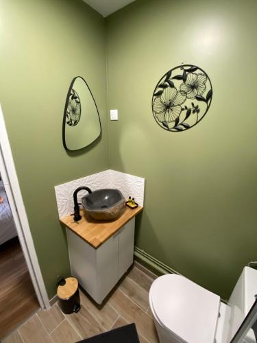 une salle de bain avec un lavabo et un miroir au mur dans l'établissement Agréable Studio Caen Venoix, à Caen