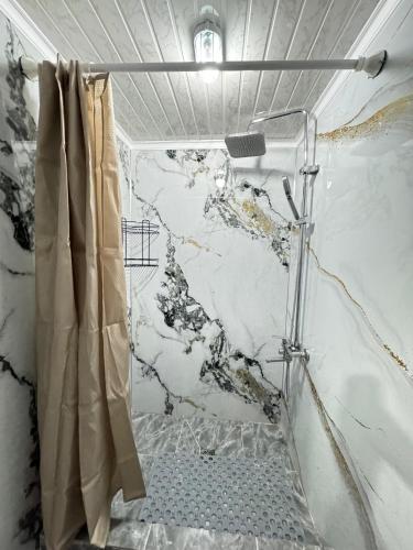 a shower with a shower curtain in a bathroom at Altygat Lodge Barskoon in Barskoon