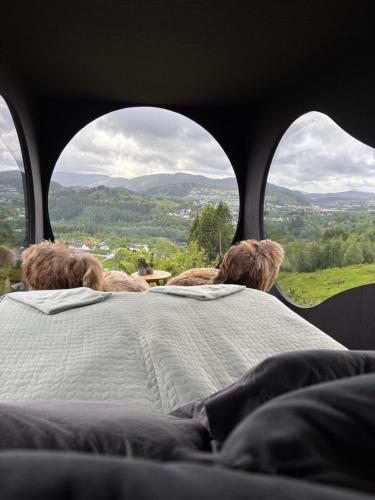 two dogs sitting on a bed looking out a window at Birdbox Bergen in Bergen