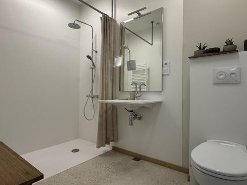 une salle de bain avec toilettes, lavabo et miroir dans l'établissement L'APPART enTHÈSE - Appartement pour une ou deux pers - Accessible à Tous - Meuble Tourisme 3 étoiles en BOURGOGNE, à Moloy