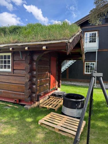 a log cabin with a grass roof at Toftemo Turiststasjon in Dovre