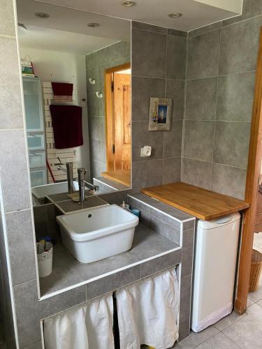 La salle de bains est pourvue d'un évier et d'un plan de travail avec un réfrigérateur. dans l'établissement Le Loft, à Martigues