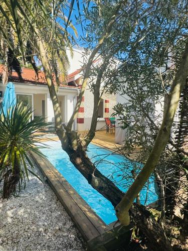 une piscine en face d'une maison arborée dans l'établissement LOCATION MAISON LES PIEDS DANS L'EAU - 8 personnes, à Arcachon