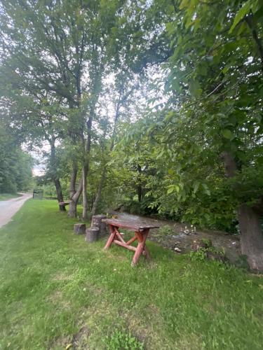 a picnic table in the grass next to a road at Pensiunea Broscuta in Horezu