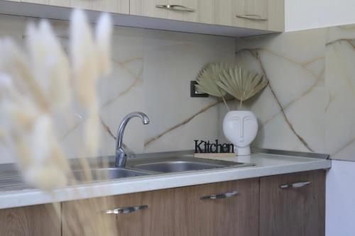 ドゥラスにあるMegan's Villaのキッチン(シンク付)、花瓶(植物付)