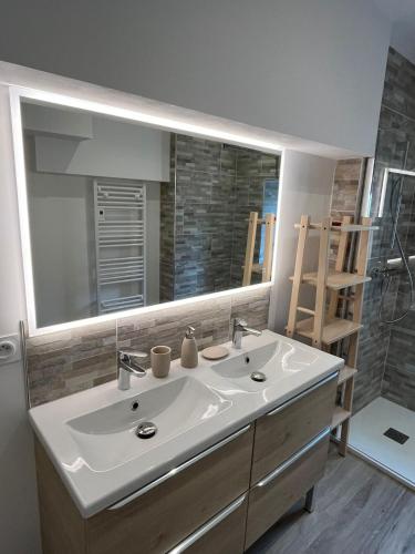 une salle de bain avec un lavabo et un grand miroir dans l'établissement L'appart des vignes, à Nuits-Saint-Georges