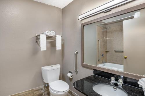 a bathroom with a toilet and a sink and a mirror at Red Roof Inn Richmond, VA in Richmond