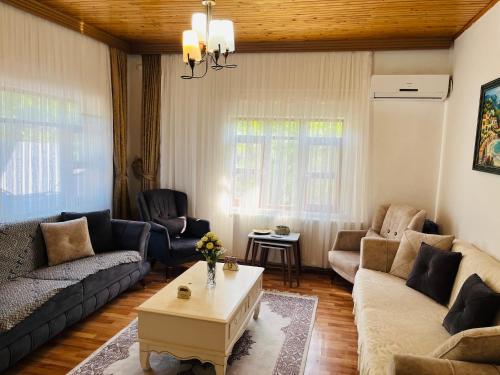 a living room with couches and a coffee table at Eren Villa in Sapanca