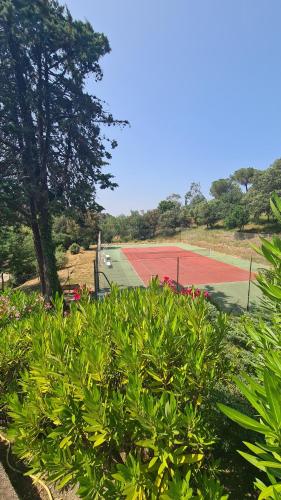 a tennis court with a tree and some bushes at Entre mer et montagne in Le Boulou