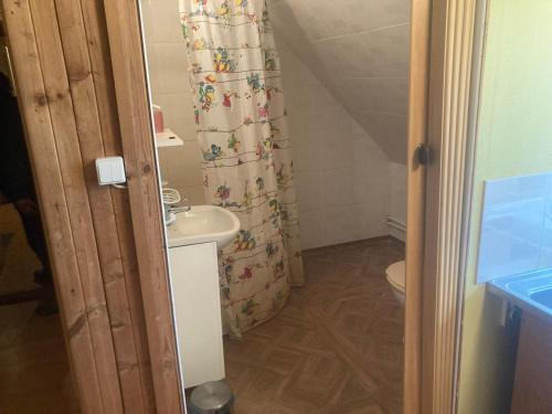 a bathroom with a sink and a shower curtain at Saare Puhkemaja in Sihva
