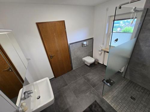 a bathroom with a shower and a sink and a toilet at Idyllisches Wolkennest in Nentershausen