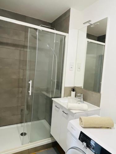 une salle de bain avec douche et lavabo dans l'établissement Le Repaire Urbain - 8 voyageurs, à Orléans