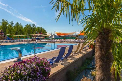 a swimming pool with lounge chairs and a palm tree at Domčeky Nesvady in Nesvady