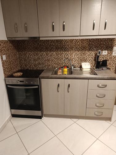 a kitchen with a stove and a sink at Niko's apartments 2 in Elafonisos