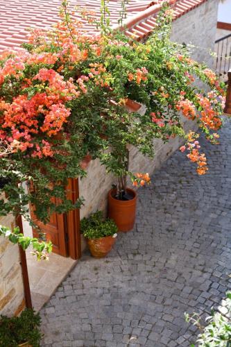 a group of flowers in pots on a stone walkway at Villa Ephesus Hotel in Kusadası