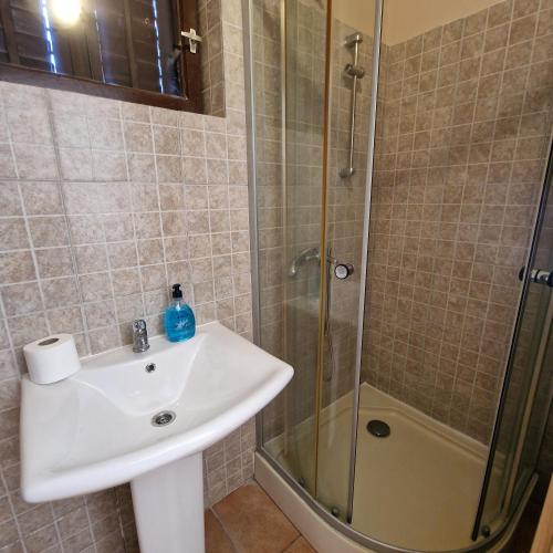 a bathroom with a sink and a shower at D&D Rooms in Medulin