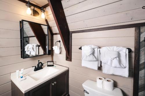 a bathroom with a sink and a mirror and a toilet at Amazing Grace Where Peace Finds You in Pigeon Forge
