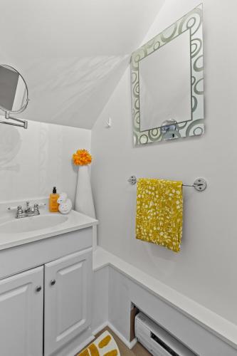 a bathroom with a sink and a mirror at Bond St Flat with Private Zen Garden in St. John's