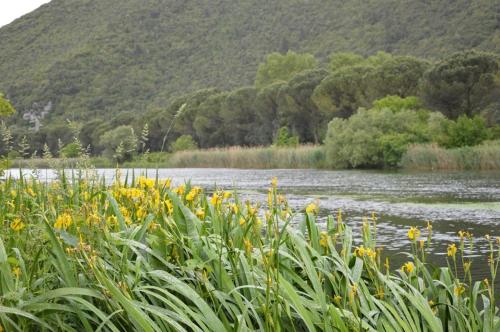 Paesaggio naturale nelle vicinanze dell'agriturismo