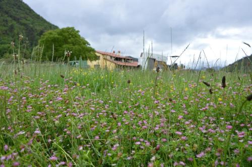 Paesaggio naturale nelle vicinanze dell'agriturismo