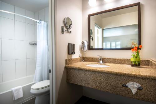 a bathroom with a sink and a mirror and a toilet at Alpine Inn near Convention Center and the Park in Anaheim