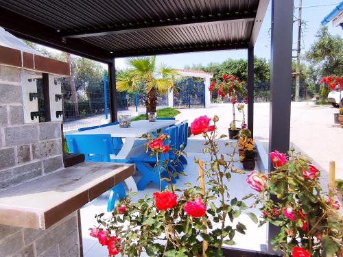 Blue Summer Villa