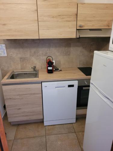 une cuisine avec un évier et un réfrigérateur blanc dans l'établissement Appartement le porto, à La Celle-sous-Gouzon