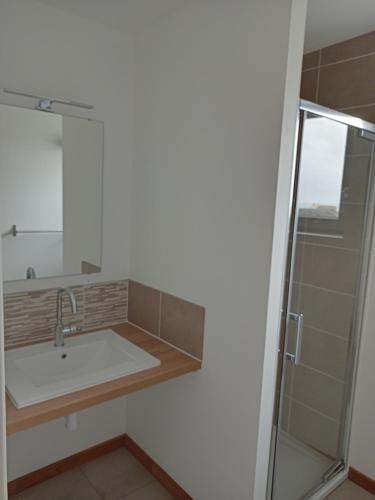 une salle de bain avec un lavabo et une douche dans l'établissement Maison vue mer proximité plages, à Plozévet