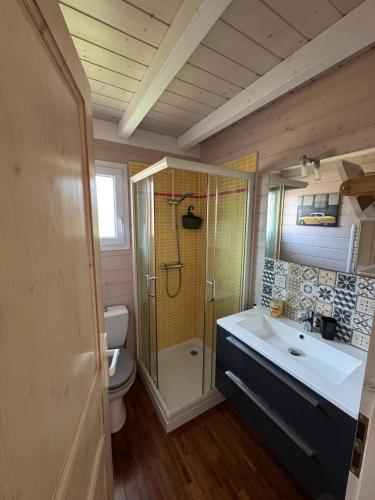 une salle de bain avec une douche, un lavabo et des toilettes dans l'établissement Ferienhaus bei Saint Tropez, à Gassin