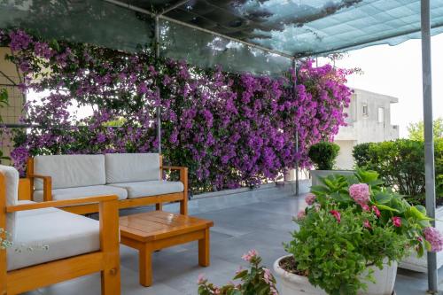 een tuin met paarse bloemen op een pergola bij VILLA 24 Sarandë in Sarandë
