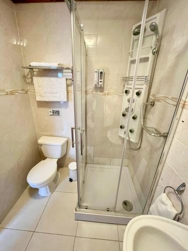 a bathroom with a shower and a toilet and a sink at CHALET CHAPITAL Punta Arenas in Punta Arenas