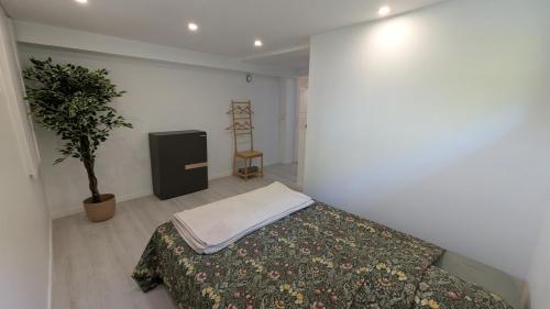 une chambre avec un lit et une plante en pot dans l'établissement Les Loges de la Gallée, à Millery