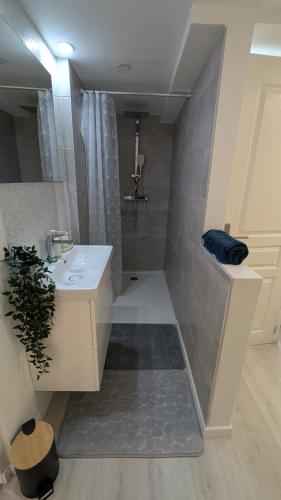 une petite salle de bain avec un lavabo et une douche dans l'établissement Les Loges de la Gallée, à Millery