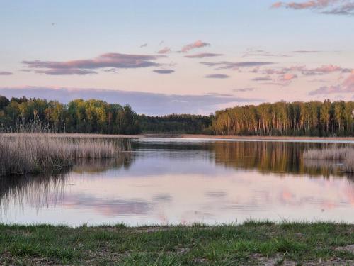 a view of a lake with trees in the background at Telšu vieta Sīvera Medniekkrasti 
