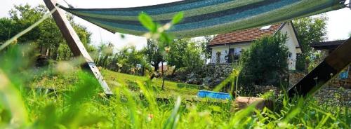 Galeriebild der Unterkunft Villa Perule 2 Вила Перуле in Shumnatitsa