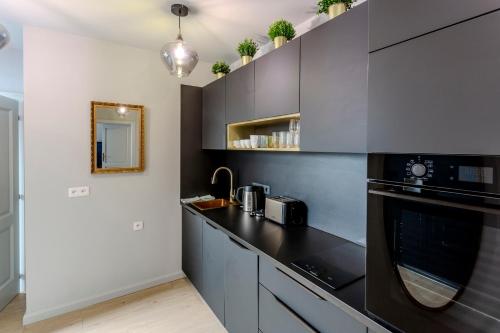 Kuchyň nebo kuchyňský kout v ubytování Apartmány U Devíti Lvů