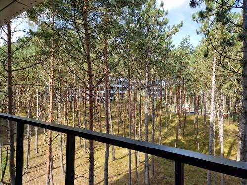 Φυσικό τοπίο κοντά σε αυτό το διαμέρισμα