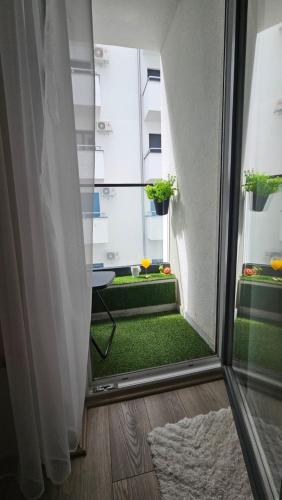 a room with a window with green carpet and plants at Zeus Apartman in Jagodina