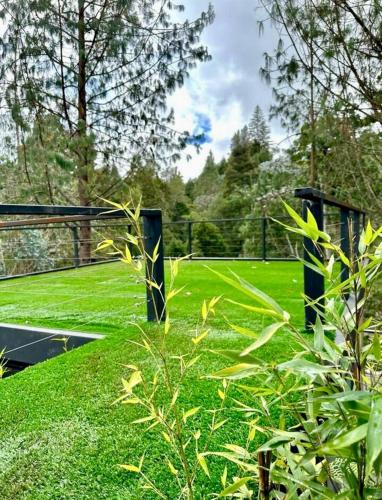 a view of a tennis court with green grass at Cabaña en el Lago in Guarne