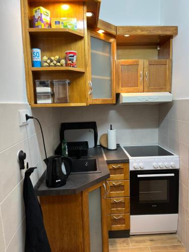 a small kitchen with wooden cabinets and a stove at Ravena 2 in Palić