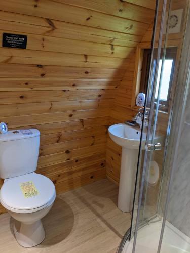 a bathroom with a toilet and a sink at Glamping Pod Thady Killynick County Fermanagh in Enniskillen